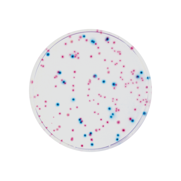 CHROMagar™ ECC, 20 ready-to-use plates