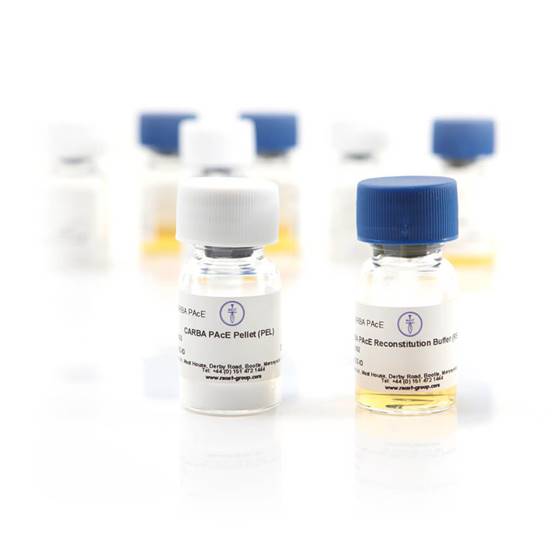 MAST® CARBA PAcE - Carbapenemase detection kit, 48 testi