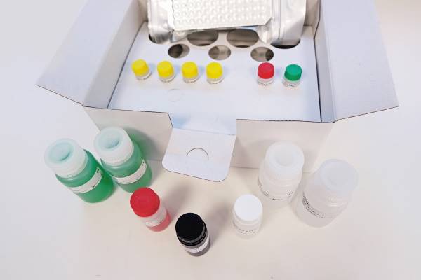Histone, 12 X 8 Testi ELISA