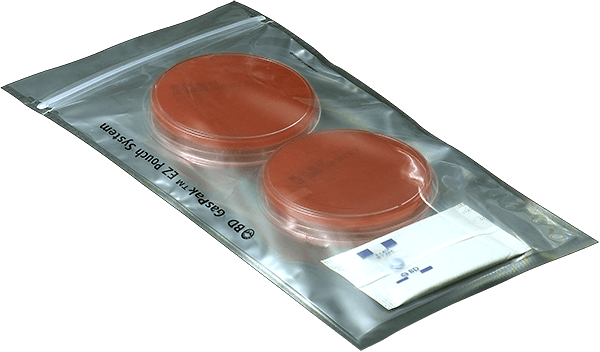 [260683] GasPak EZ anaerobe pouch system, 20 gab.