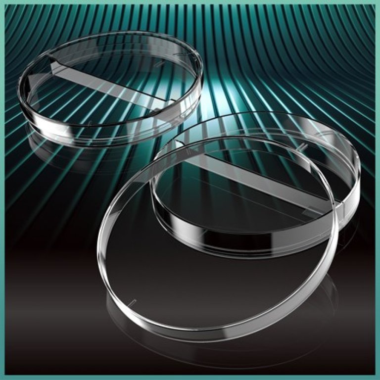[BP923S25SQ] Petri tass, 90 mm, ventilatsiooniga, kahe kambriga, kõrgus 14,2 mm, steriilne, 25 tk
